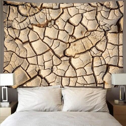 Drought land tapestry wall hanging Environmental publicize background wall carpet disaster blanket wall