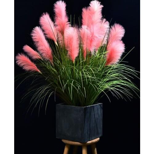 Simulate reed, dogtail flowers. Living room bedroom window background decorative flower simulation plant background shot