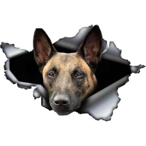 Hot Selling Belgian Malinois Car Stickers Torn PVC Decal Reflective Stickers KK Waterproof Belgian Shepherd Pet Dog 3D Decals