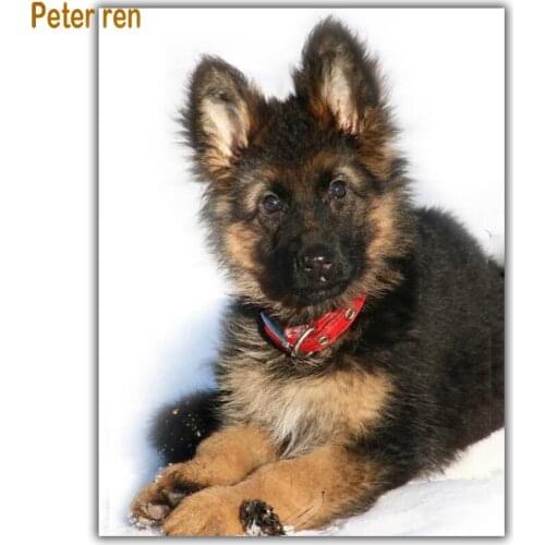 Diy Diamond painting dog cross stitch Animal 5d Square\Round Diamond mosaic Rhinestone Full Diamond embroidery Puppy on the snow