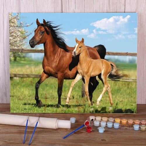 Animal Horse Flower Coloring By Numbers Painting Kit Oil Paints 50*70 Boards By Numbers New Design Children Wall Wholesale