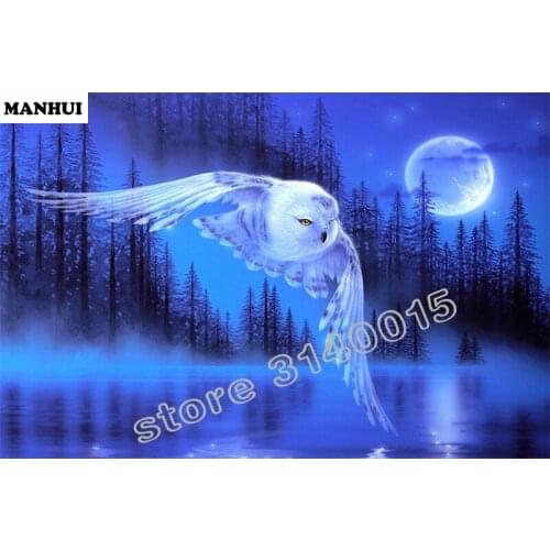 3d diamond embroidery Moonlight Eagle diamond mosaic pictures of rhinestones hobbies and crafts material for handmade BCD056