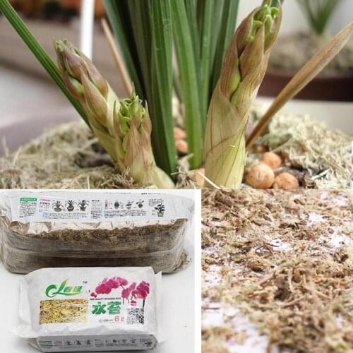 12L Sphagnum Moss Garden Supplies Moisturizing Nutrition Organic Fertilizer For Phalaenopsis Orchid
