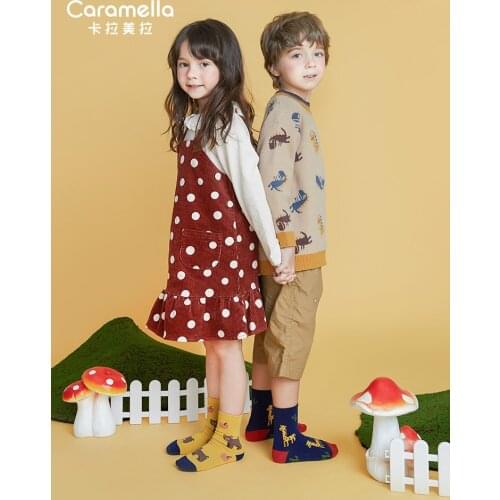 Caramella 3 Pairs/Lot Kids Socks Cartoon Dinosaur Pattern Cartoon Animal Cute Cotton Socks for Baby Boys