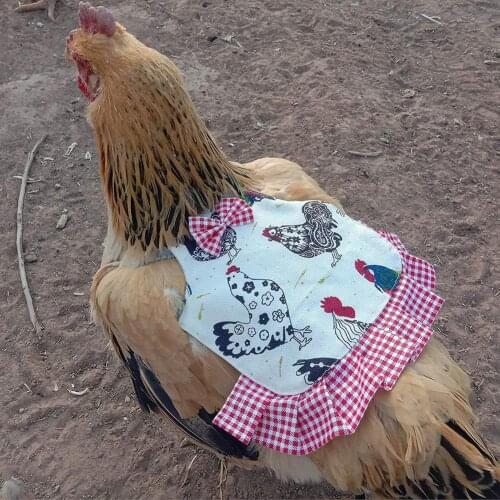 Poultry Hen Saddle Apron Feather Protection Holder Chicken Duck Wings Back Protector Chicken Saddle Apron Decoration