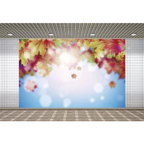 Lyavshi Autumn Backgrounds Fallen Leaves Maples Light Bokeh Sunshine Baby Newborn Portrait Scene For Photography Photo Backdrop