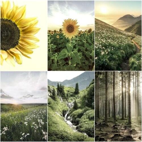 CHENISTORY Painting By Number Sunflower Drawing On Canvas Handpainted Painting Art Gift DIY Pictures By Number Landscape Kits Ho