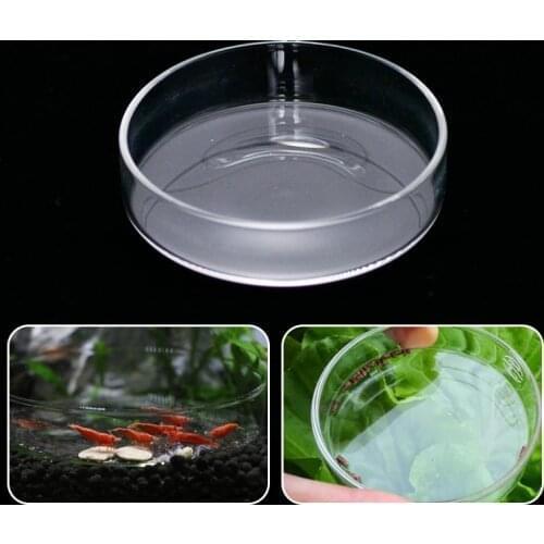 Crystal Shrimp Feeding Food Dish Feeder Tray Transparent Glass Round Container Fish Tank Aquarium Feeding Tropical Fish Bowl
