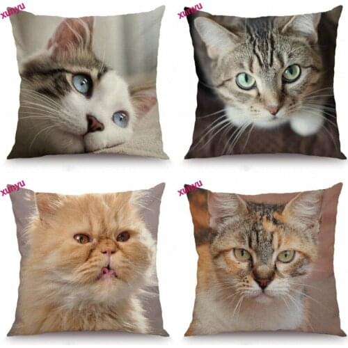 XUNYU Cat Cushion Cover Animal Pillowcase Kids Room Decorative Throw Pillow Cover for Sofa Bedroom 45x45cm BT031