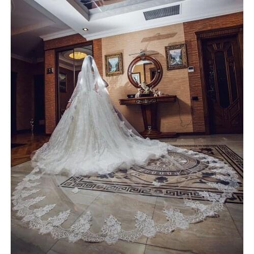 Gorgeous 3M Long Wedding Veils with Lace Applique Edge One Layer Cathedral Length Veils with Comb Tulle Bridal Veil