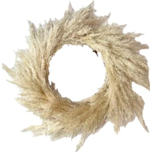 Handmade Pampas Grass Wreath Christmas Autumn Wedding Decor Door Wall Hanging Grass Wreath Home Decor Dried Flower Crafts