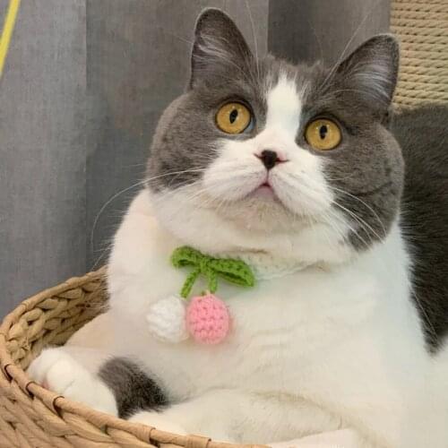 Sweet Woolen Cat Collar White Crochet Dog Necklace with Cherry Pet Scarf for Kittens Cute Puppy Accessories Yorkie Chihuahua