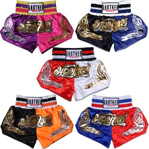 Another Kicker Boxing Shorts
