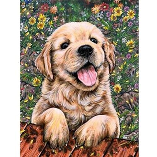 Painting By Numbers DIY Dropshipping Digital Painting Cute Flower Puppy Animal 40x50CM Acrylic House Decoration Art picture Gift