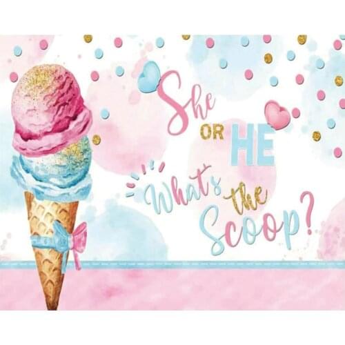 Cartoon Ice Cream She or He Gender Reveal Party Backdrop Baby Shower Room Decor Photo Booth Studio Prop