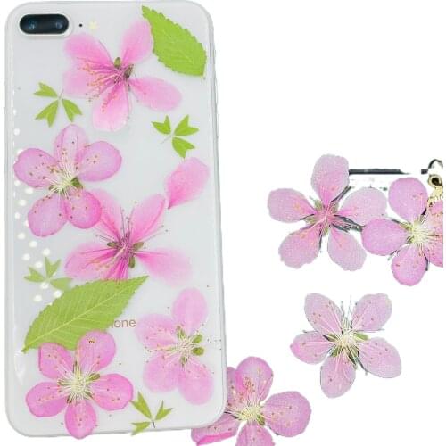 50pcs Pressed Dried Pink Peach Blossom Flower Plant Herbarium For Nail Art Make Up Jewelry Bookmark Phone Case Card DIY