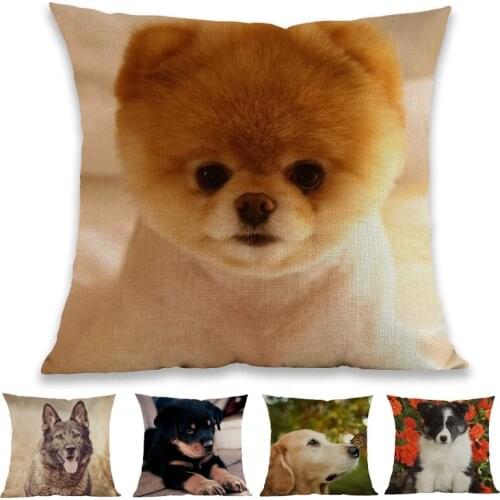 Cute Dogs Puppy Pets Pomeranian Shepherd Rottweiler Labrador Husky Hound Throw Pillow Case Home Sofa Decorative Cushion Cover