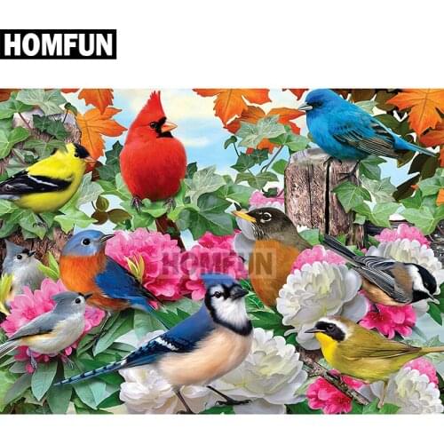 HOMFUN Square/Round Drill 5D DIY Diamond Painting "Color bird" Embroidery Cross Stitch Full Rhinestone Decor A01858