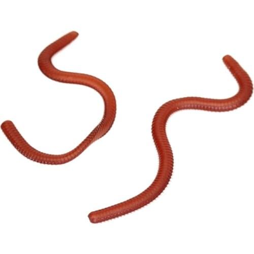 Fishing Tackle Marine Earthworm Bionic Luya Soft Bait Soft Silicone Fake Lures 20 In A Pack Soft Fish Maggots