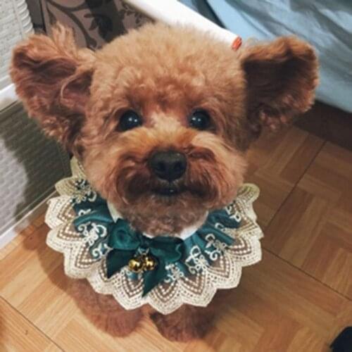 Beautiful Large Bow Cat Bibs Delicate Lace Pet Kitten Bells Bibs Home Pets Outdoor Walking Dress Up Supplies