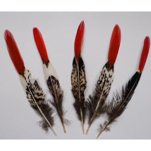 Wholesale Lady Amherst 50 pcs 10-15cm Natural Copper Chicken Feathers Pheasant Tail Plumes For DIY Crafts Clothing Decorations
