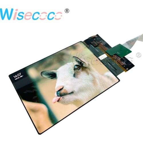 New Wisecoco 11" Real AMOLED Display 1728*2368 RGB OLED LCD Module with MIPI Interface Driver Controller Board for Pad