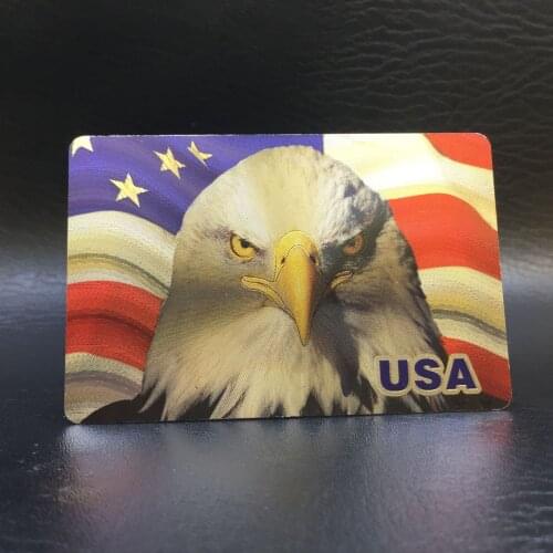 USA Eagle Waterproof Plastic Playing Cards Color Silver Foil Poker Deck Game