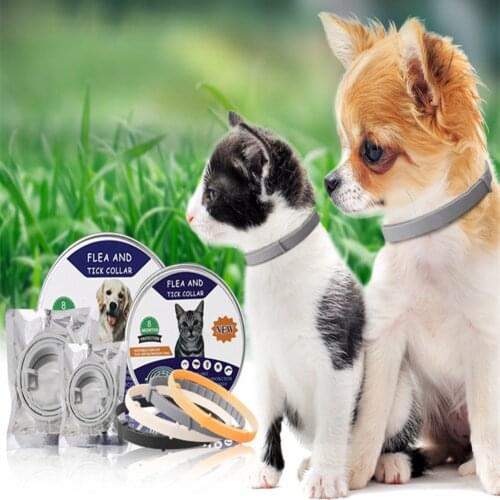 Removes Flea And Tick Collar for Dogs Cats Up To 8 Month Flea Tick Collar Anti-mosquito & Insect Repellent Breakaway Cat Collar