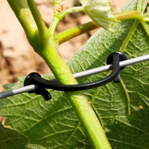 100Pcs/Lot Plants Bundled Lashing Hook Garden Accessories Fixed For Vegetable Strapping Of fruit Vines Tree Climbing Support