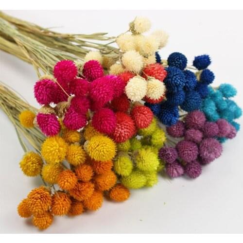10pcs Natural Dried Flower Real Dry Berry Flowers DIY Floral Display Plant Grass Wedding Home Room Party Decoration Accessories
