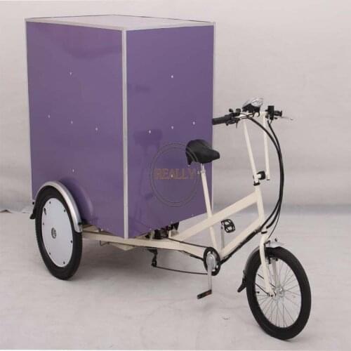 Adult electric Cargo Bike Baggage Transpots Tricycle Express Delivery Cart with CE