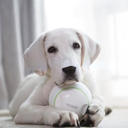 Electric Smart Dog Toys Leaky Food Ball Puzzle Dog Toys One-click Start Whole Body Washing Inspire Dog Nature Pet Products