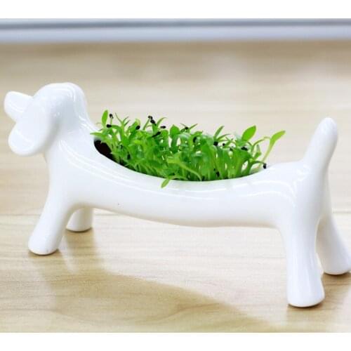 Creative new planting miserly dog aerobic radiation DIY mini potted plant Desktop ceramics plant