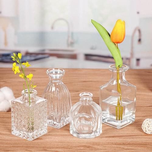 Mini Creative Desktop Simple Vase Decoration Green Dill Hydroponic Plant Bottle Vase Ornaments Home Decoration