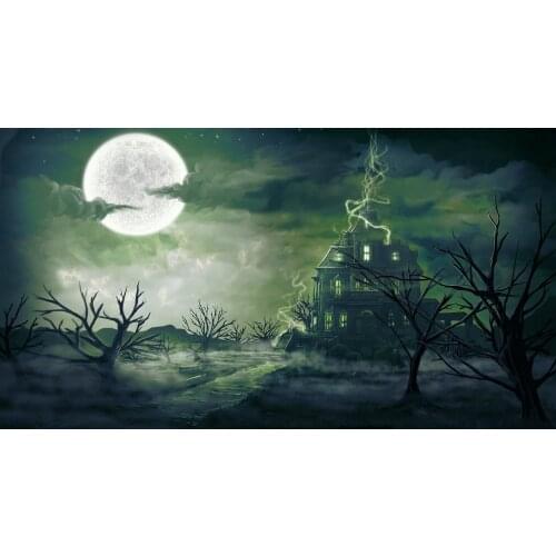 Dark Haunted House Tree Full Moon Road backdrop High quality Computer print Halloween background