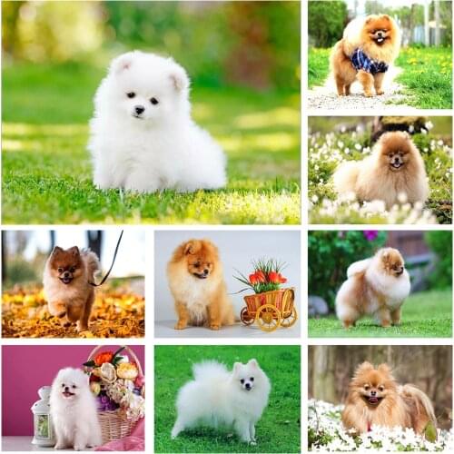 5D DIY Diamond Painting Animal Dog Rhinestone Picture Full Square/Round Diamond Embroidery Mosaic Handmade Home Decoration Gift