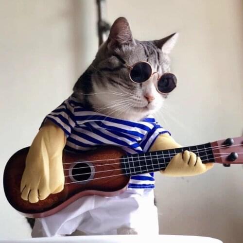 Cute & Funny Pet Sunglasses Classic Retro Circular Metal For Cats Dog