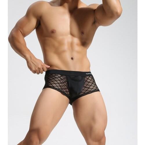 AIIOU Sexy Mesh Mens Gay Underwear Boxers Homme Breathable Penis Pouch Boxer Shorts Male Underpants Ropa Interior Para Gay