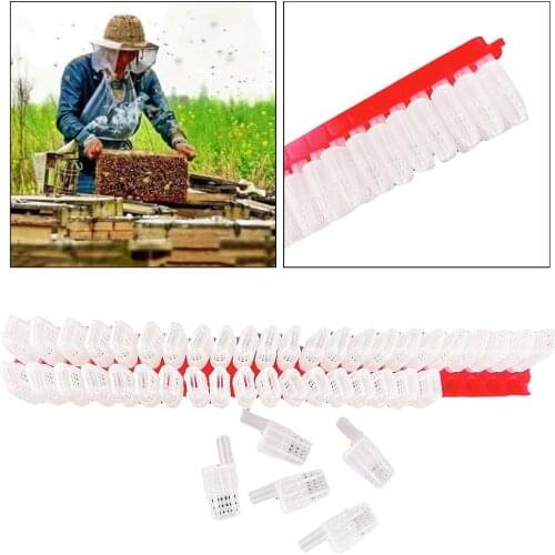 46 PCS Professional Queen Bee Moving Isolator Hive Rearing Box Roller Cage Catcher Case Beekeeping Beekeeper Equipment