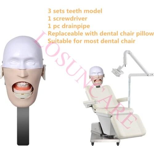 Dental Training Manikin Phantom Head Simulators Hygiene Simulator Dentistry Education Manikin Model