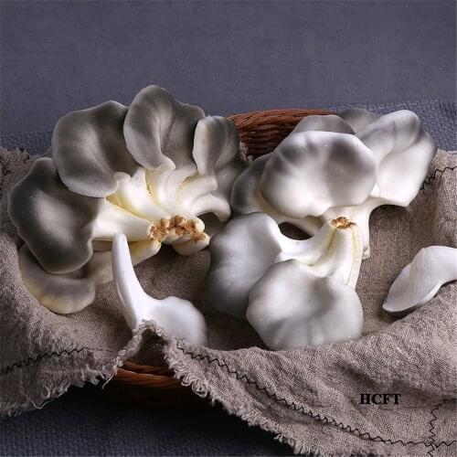 Store shop decoration swamm Pleurotus ostreatus Pleurotus eryngii Enoki Mushroom Shiitake Faux fake artificial vegetables