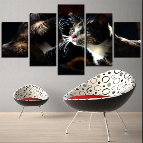 5 Pieces Cats Canvas Painting Mirror Wallpapers Pet Kittens Posters Animal Pictures For Home Room Improvement Decor Artwork Cute
