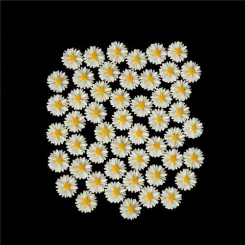 50 Pieces 13mm DIY White Daisy Flower Resin Flatback Cabochon Jewelry Phone Decoration No Hole Home Decor