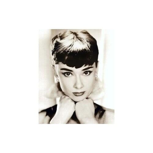 Frameless 40x50cm pictures on the wall DIY oil paint on canvas painting by numbers cuadros decoracion Hepburn XZ6924