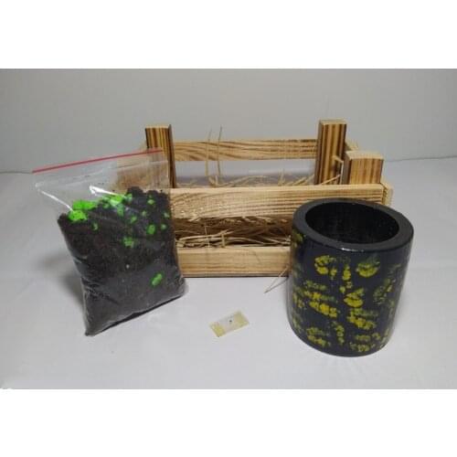 KENDİN YETİŞTİR LOCKER