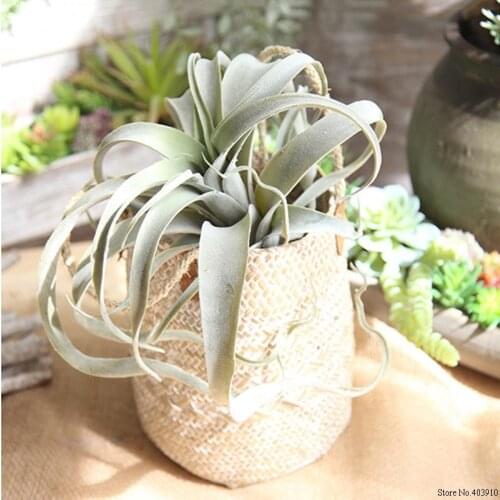 1 Branch Artificial Pineapple Leaves Fake Succulent Plant Air Plants Wedding Bouquet Supplies for Home Garden Wall Decoration
