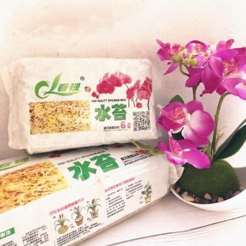 Natural Dried SPHAGAUM MOSS Garden Supplies Moisturizing Nutrition Organic Fertilizer Phalaenopsis Orchid Flowerpot Decoration