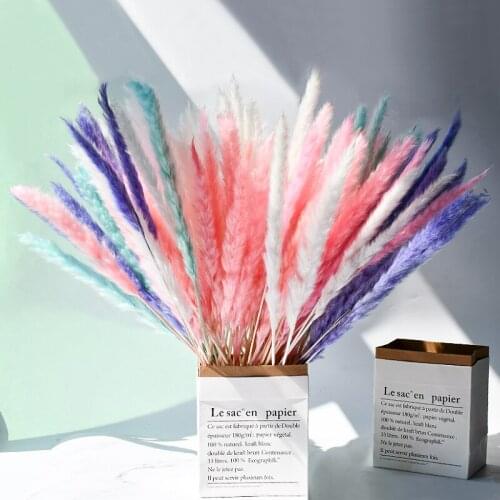A bunch of Pampas grass home decor reed mini crafts diy craft crafts supplies dried flowers home accessories wedding easter