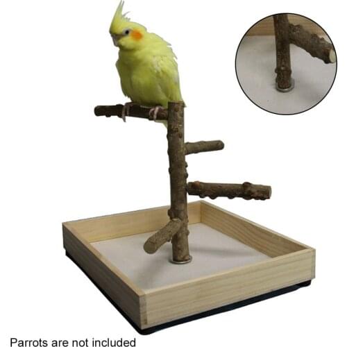 HOUSEEN Products For Birds