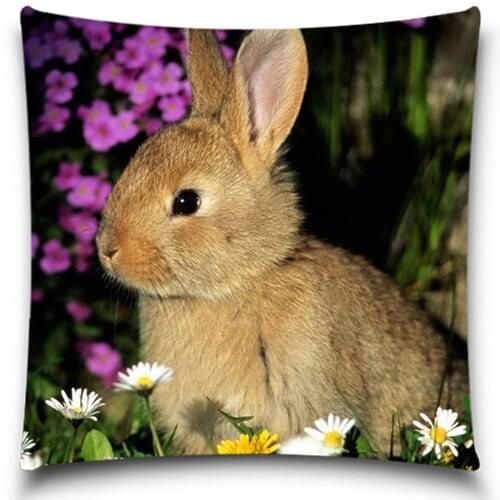 Small Rabbit Sofa Bed throw pillow case cushions home decor decorative Cushion cover Christmas Gift high quality 5 size 9 style